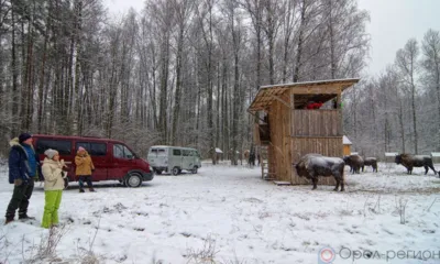 Гостеприимная Орловщина