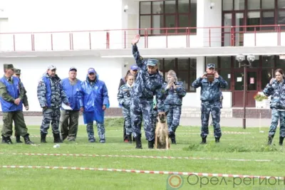 Кинолог из Орла с собакой Жаклин оказались лучшими на всероссийских соревнованиях