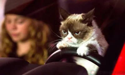 Орловцам на 2 недели перекроют движение по улице Панчука