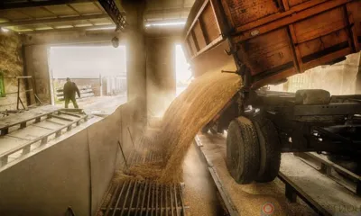 Свыше ста тонн зерна без документов пытались вывезти из Орловской области