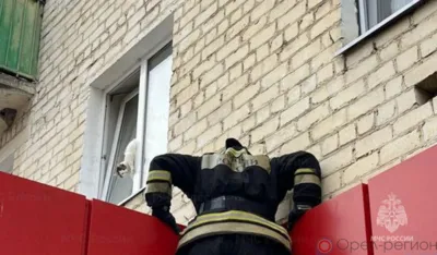 В Мценске между оконных рам повисла кошка