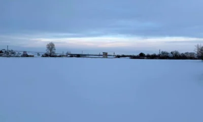 На Орловщине за ночь выпало до 7 мм осадков