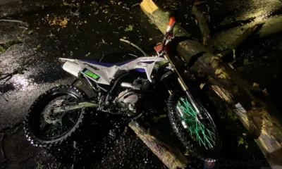 Мценский мотоциклист попал в больницу после наезда на упавшее дерево