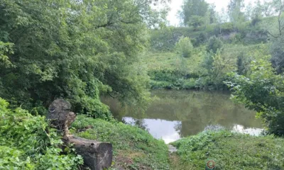 Под Орлом очевидец спас тонущего мужчину