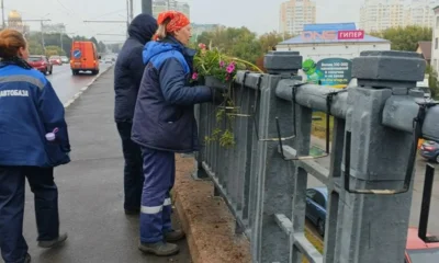 Фото 2. С улиц Орла убирают цветочные композиции