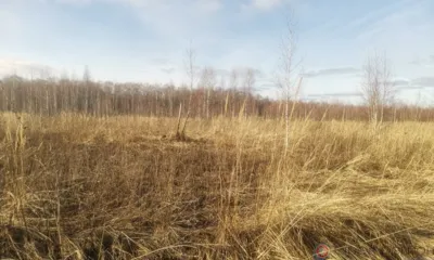 В Орловском МО и Мценском районе выявлено более 170 га неиспользуемых земель