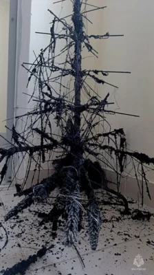 Фото 1. Новогодняя ёлка сгорела в многоэтажке под Орлом
