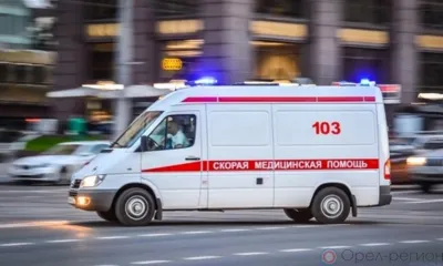 Орловчанка во время ссоры едва не убила родственника