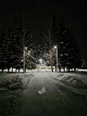 Фото 1. Орловский меценат устанавливает освещение на воинских мемориалах региона