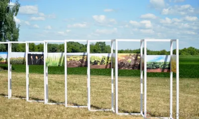 В рамках орловской агронедели поговорили об усилении развития сельхозотрасли
