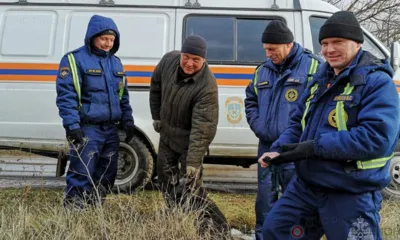 Орловские спасатели достали собаку из заброшенного люка