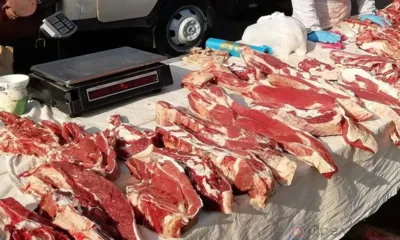 На ярмарке в Змиёвке торговали непроверенными мясом и рыбой