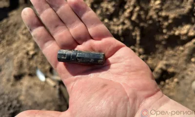 В Новосильском районе обнаружили останки 14 красноармейцев