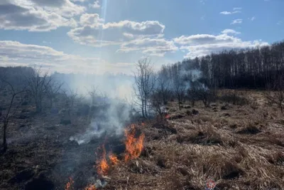 ГУ МЧС по Орловской области: Сжигание сухой травы опасно для жизни и имущества!