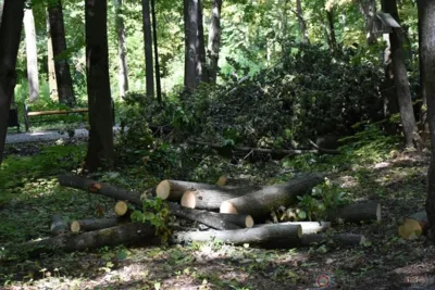 Рубрика «Компас в мире вопросов»