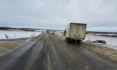 В Орловской области Нива столкнулась с автомобилем-фургоном