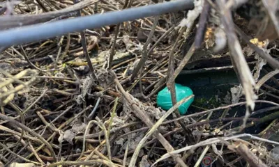 Орловские полицейские задержали мужчину с крупной партией наркотиков