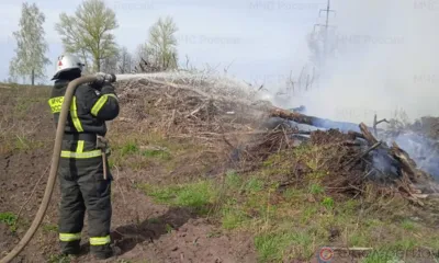 За сутки на Орловщине подтвердились 4 термоточки