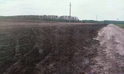 В Орловской области ликвидировали две свалки на землях сельхозназначения