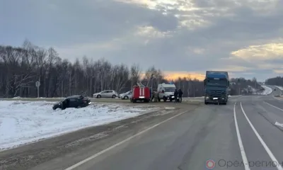 В Орловской области Lada протаранила грузовик и вылетела в кювет
