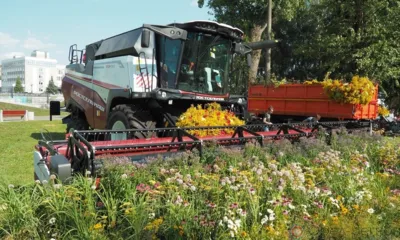 В Орле дан старт второму фестивалю цветов «Стрелка»