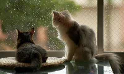 В Орловскую область идёт похолодание и сильный ветер