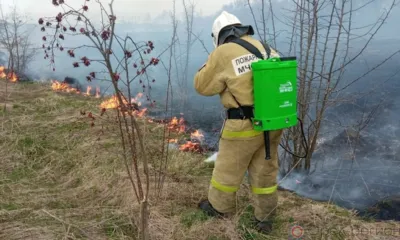 Орловские пожарные за сутки 17 раз выезжали на тушение сухой травы