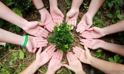 В Орле возобновляют работу экологические отряды