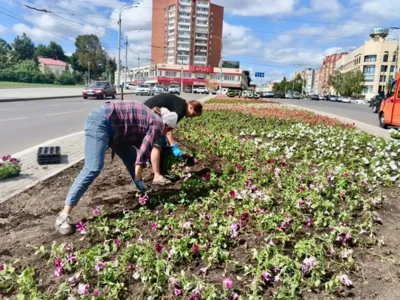 Фото 2. Клумбу в центре Орла украсили 17 тысяч цветов