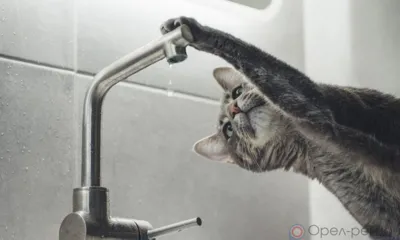 В Заводском районе Орла произошло аварийное отключение горячей воды