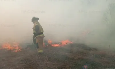 В Орловской области из-за пала сухой травы сгорели несколько домов