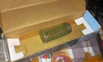 Житель Залегощенского района хранил в сарае крупную партию наркотиков