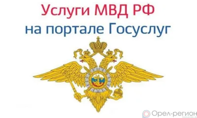 Орловское УМВД предоставило более 110 тысяч государственных услуг