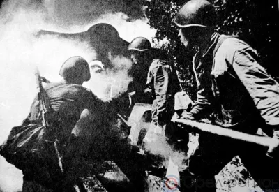 На краю Соборовского поля