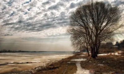 Орловцам пообещали пасмурное, но тёплое начало рабочей недели