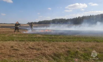 С начала года на Орловщине подтвердились 167 термоточек
