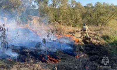 На Орловщине продолжает гореть сухая трава