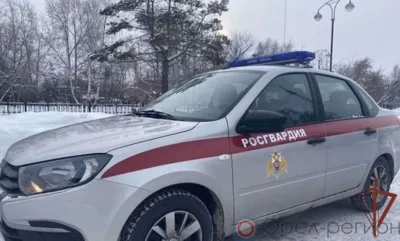 В Орле любитель сыра пытался обворовать магазин