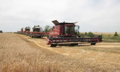 На полях Орловщины намолотили 2 млн тонн зерна