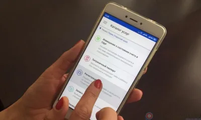 Орловцы на портале госуслуг получат уведомление о размере будущей пенсии