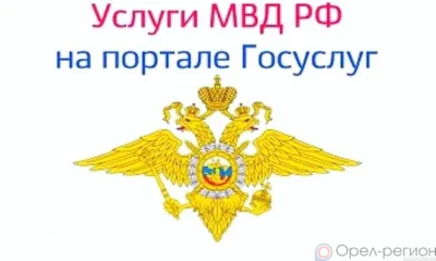 Орловским УМВД за 6 месяцев предоставлено свыше 96 тысяч госуслуг