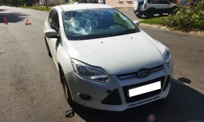 Орловец, перебегавший дорогу в неположенном месте, попал под колёса Ford