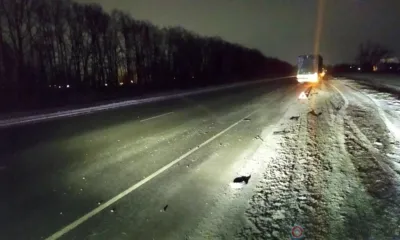 Под Орлом Mazda на встречке протаранила фуру