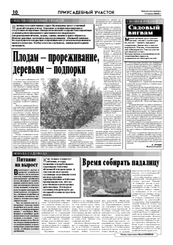 Орловская правда 2008-07-11