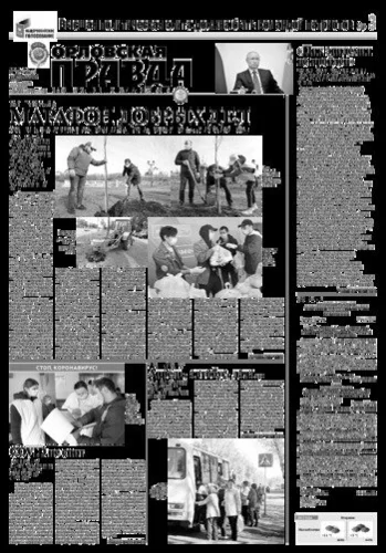 Орловская правда 2020-04-14