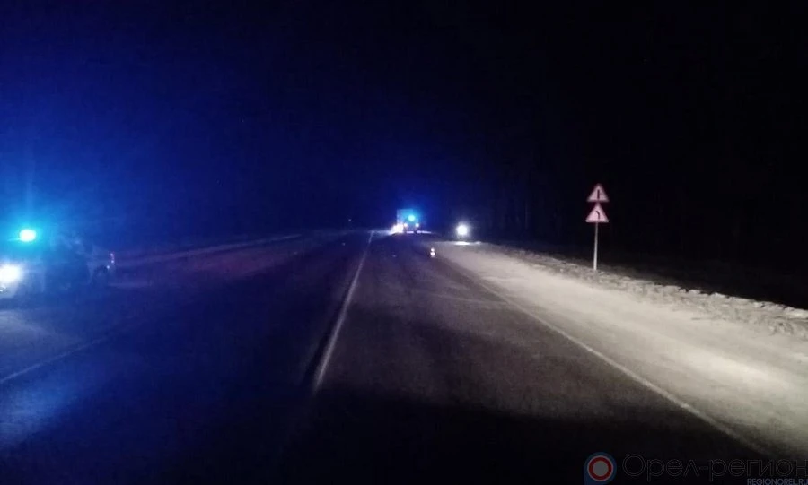 На орловской трассе под колёсами большегруза погиб пешеход