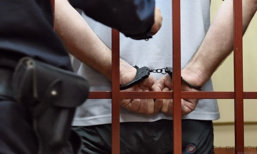 Орловца осудили за призывы к терроризму и фейки о ВС РФ