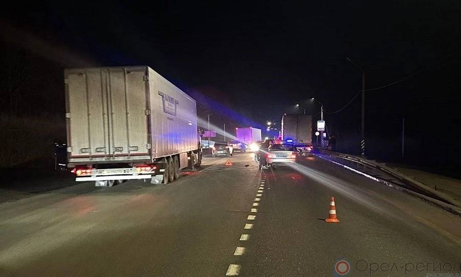 На орловской трассе фура насмерть сбила 62-летнего мужчину
